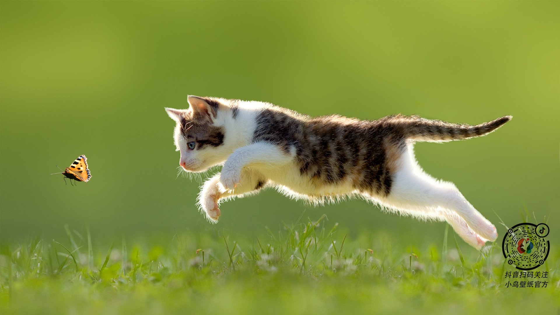 九游官网-特色篮球联盟推动区域体育一体化发展，激发城市活力，篮球特色园