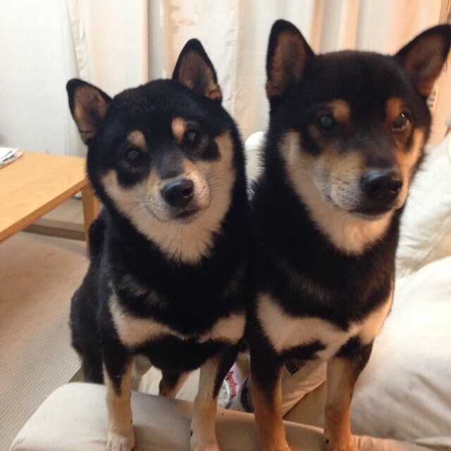 曼城客场大胜巴黎，晋级半决赛，曼城客场2-1巴黎