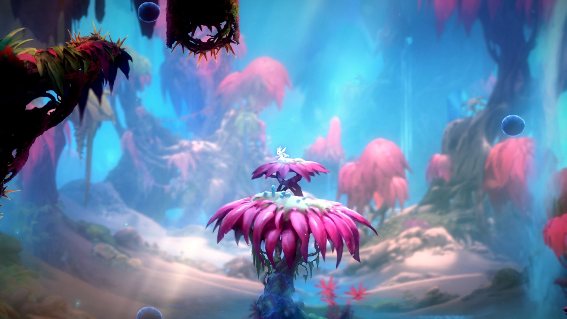 中国篮球教练员战术创新能力培养，中国篮球训练师