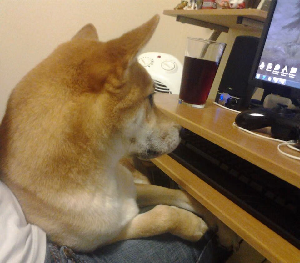 俱乐部盈利模式：多元化收入策略探索，俱乐部收益