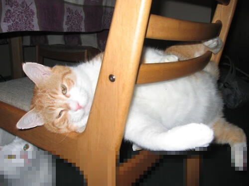 后疫情时代：足球比赛的安全防控措施，足球比赛安全措施方案