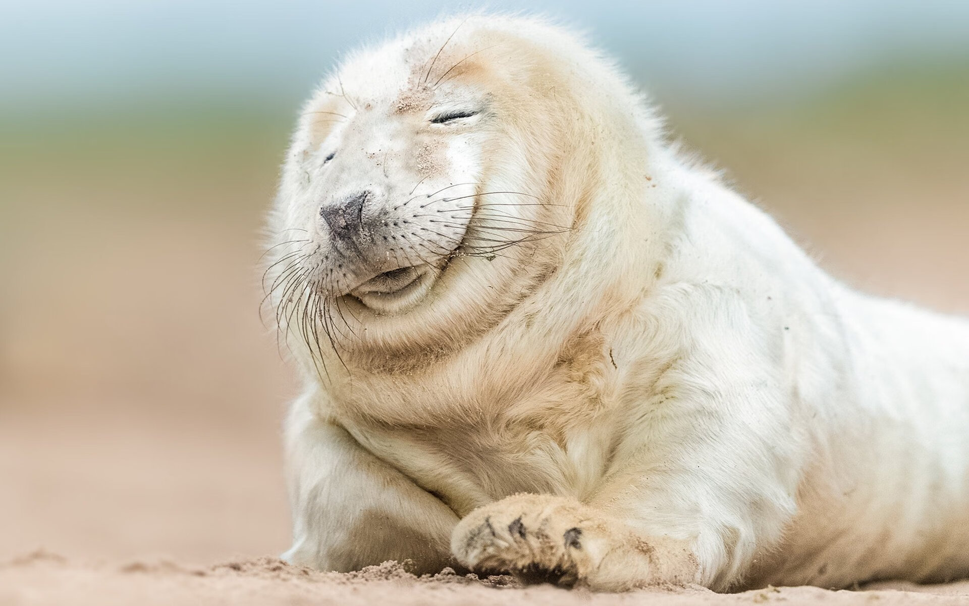 法甲球队通过数据可视化辅助战术决策分析，法甲战况