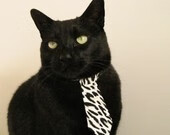 高职体育教育课程改革试点报告，高职体育与健康新课程标准