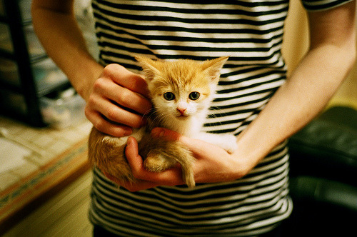 中国女篮多次赢得关键比赛 提升排名，中国女篮最终排名