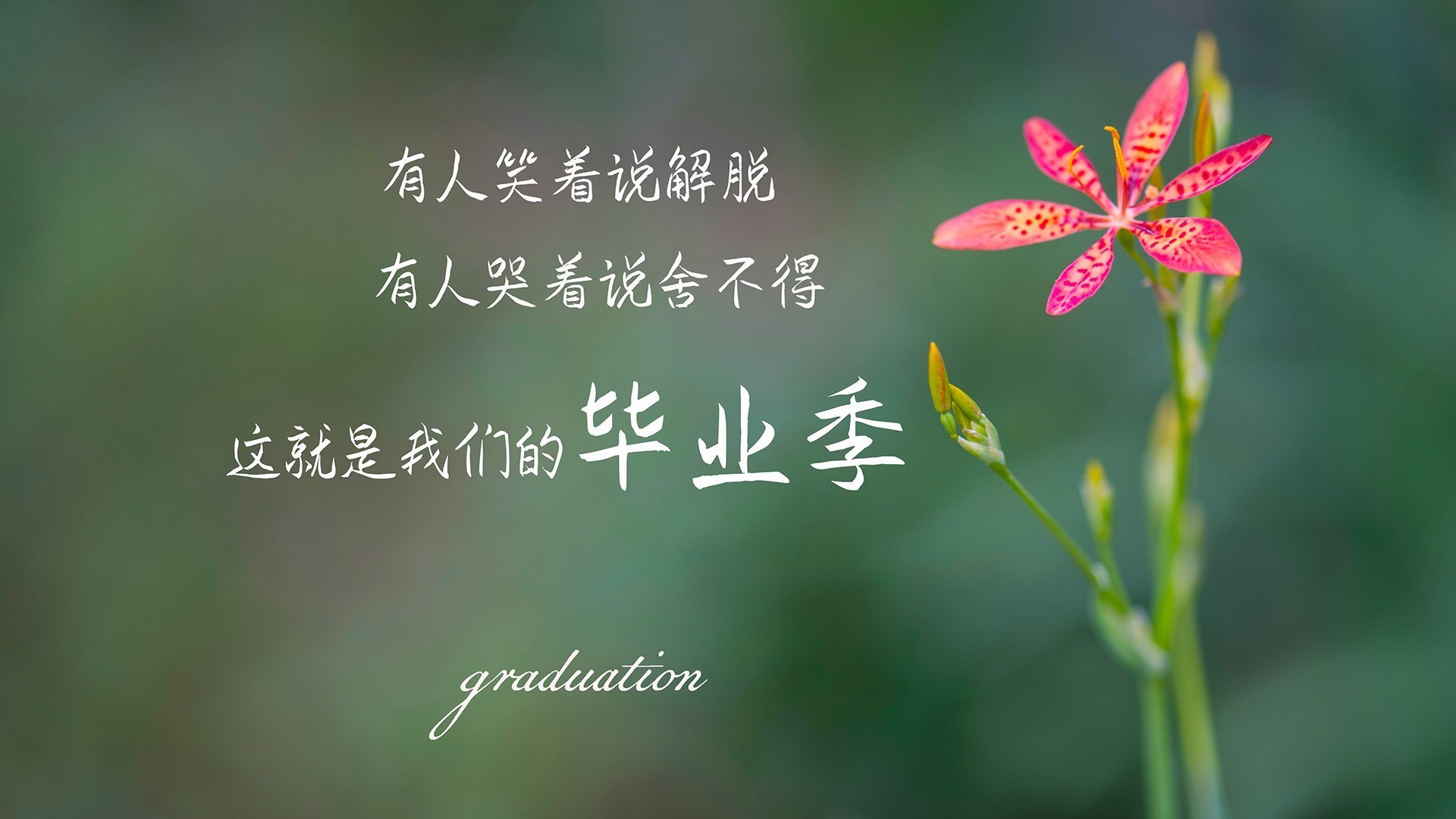 九游体育官网入口-北京鸭加强外线射手训练提升三分威胁